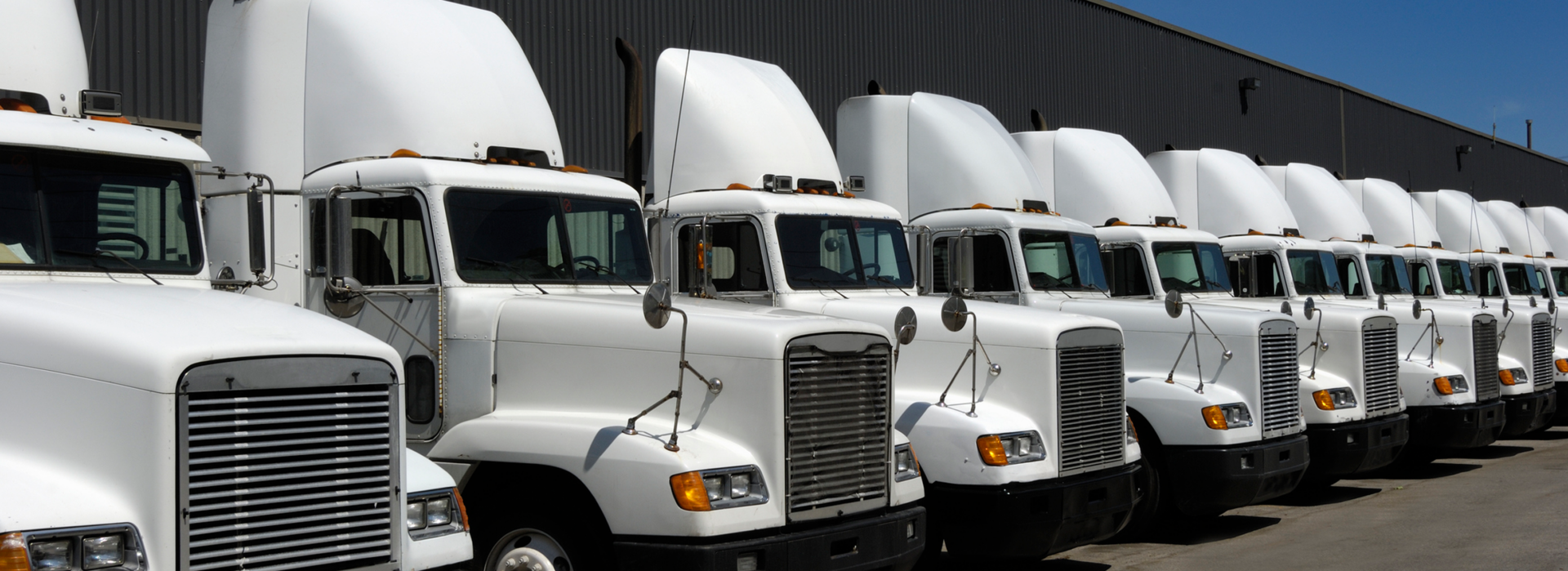 Row of white semi truck cabs